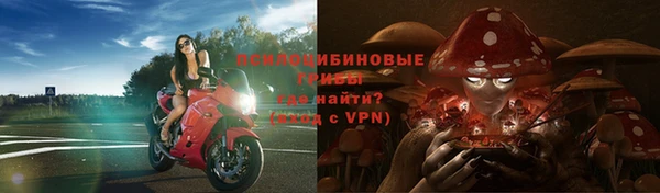 mdpv Арсеньев