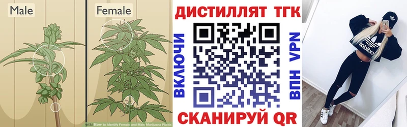 сколько стоит  hydra ССЫЛКА  Дистиллят ТГК THC oil  площадка наркотические препараты  Тимашёвск 