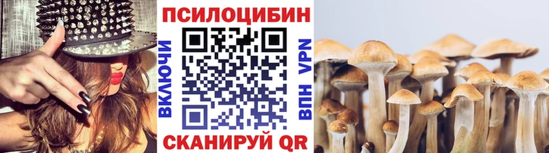 купить наркотики сайты  Тимашёвск  Галлюциногенные грибы Magic Shrooms 